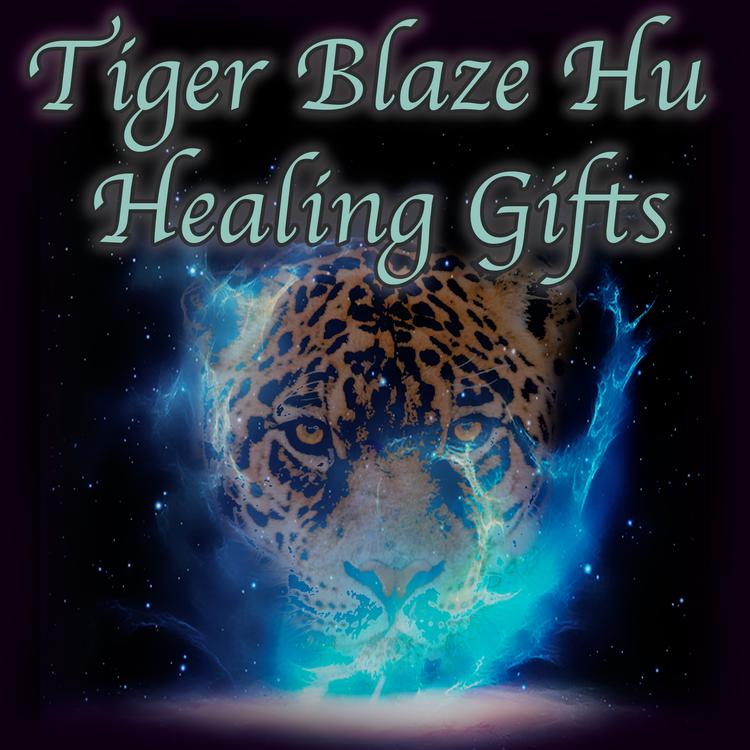 Tiger Blaze Hu's avatar image