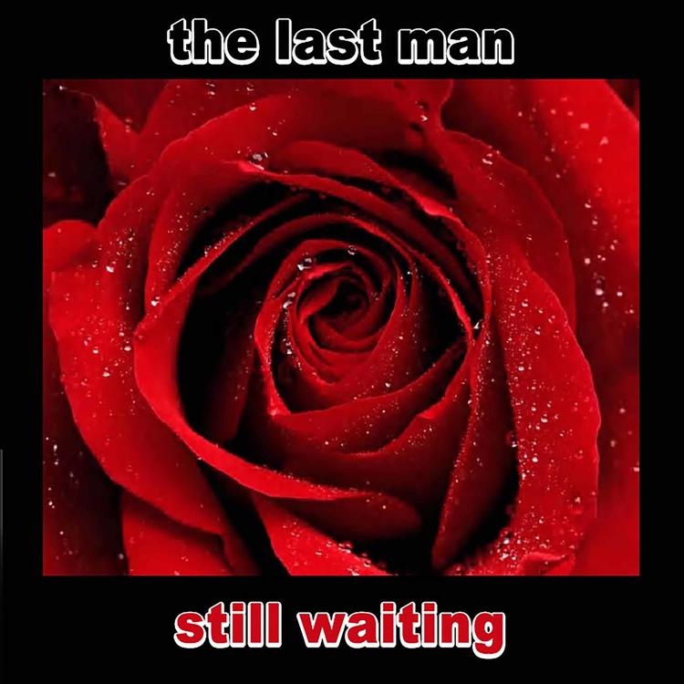 The Last Man's avatar image