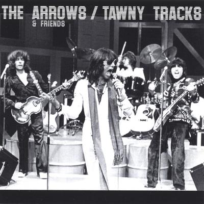 I Love Rock 'N Roll By The Arrows and Friends's cover