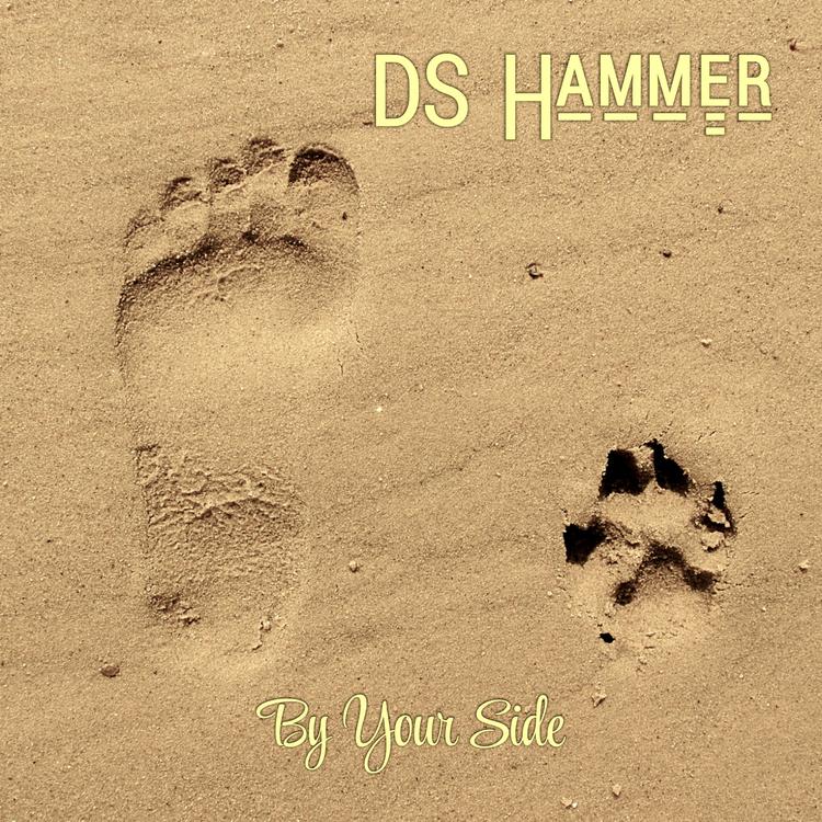 DS Hammer's avatar image