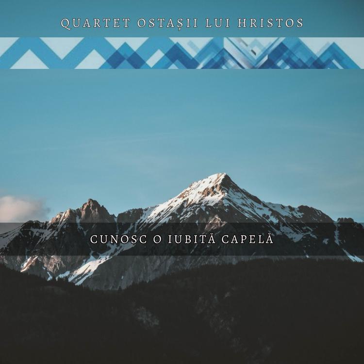 Quartet Ostașii lui Hristos's avatar image