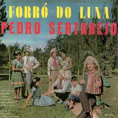 Tocando em Carrosel By Pedro Sertanejo's cover