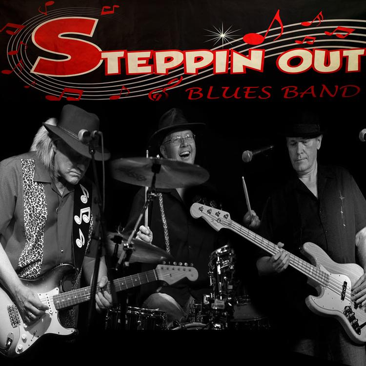 Steppin'Out Bluesband's avatar image