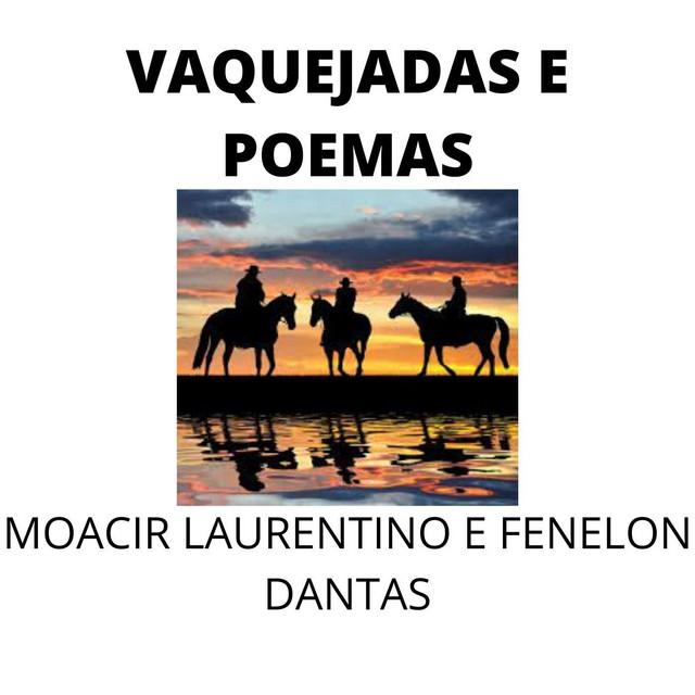 Fenelon Dantas's avatar image