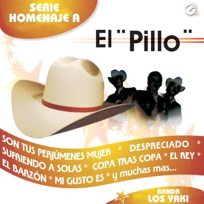 Serie Homenaje a el Pillo's cover