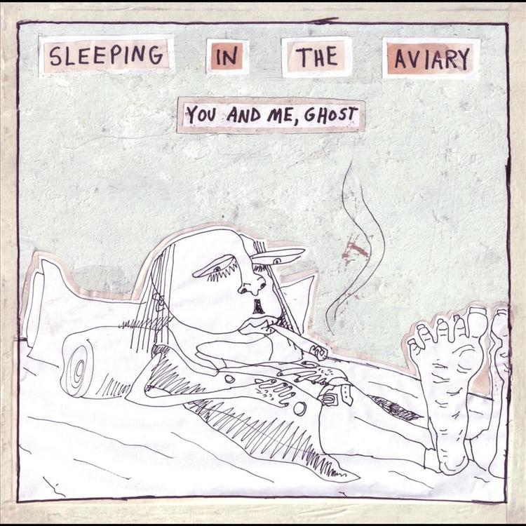 Sleeping In the Aviary's avatar image