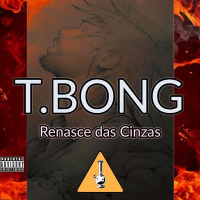 Renasce das Cinzas's cover