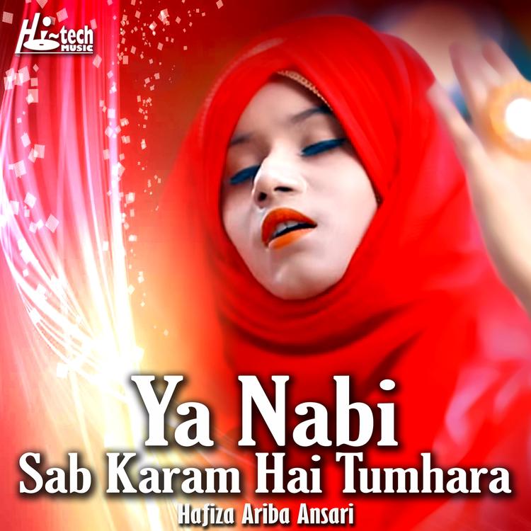 Hafiza Ariba Ansari's avatar image