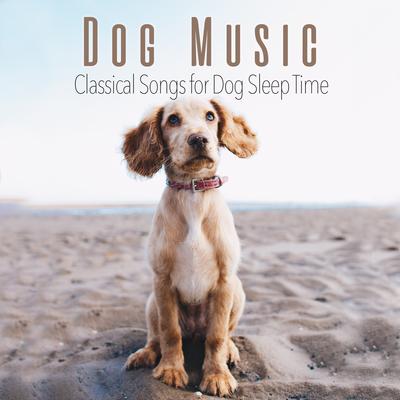 Rhythm of Stress Relief By Dog Music Zone, Relaxmydog, Dog Music's cover