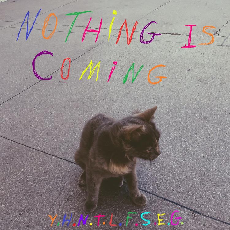 Nothing Is Coming's avatar image