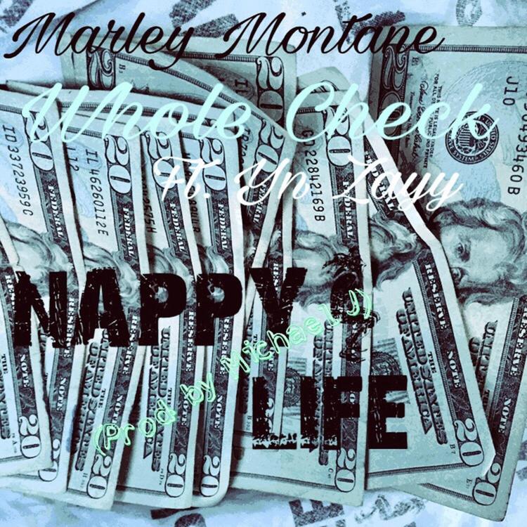 Marley Montane's avatar image