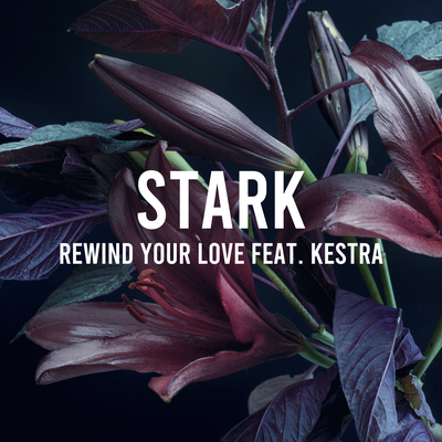 Rewind Your Love By Stark, Kestra's cover
