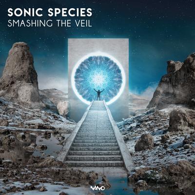 Smashing The Veil (Original Mix) By Sonic Species's cover
