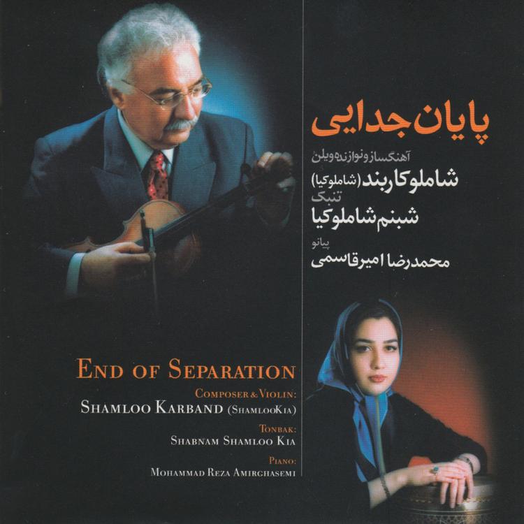 Shamloo Karband's avatar image