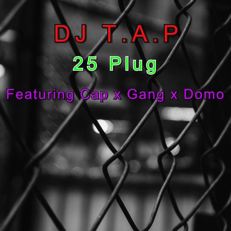 DJ T.A.P's avatar image