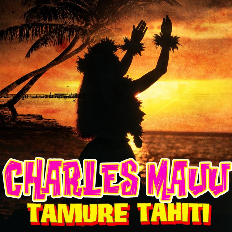 Charles Mauu's avatar image