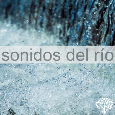 Sonidos del Río's cover