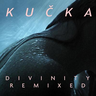 Divinity (Remixed)'s cover