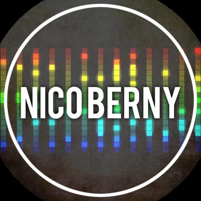 Nico Berny's avatar image