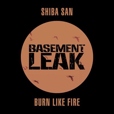 Burn Like Fire By Shiba San's cover