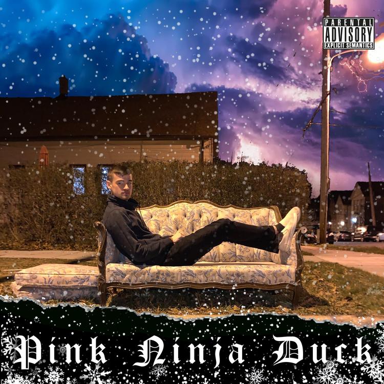 Pink Ninja Duck's avatar image