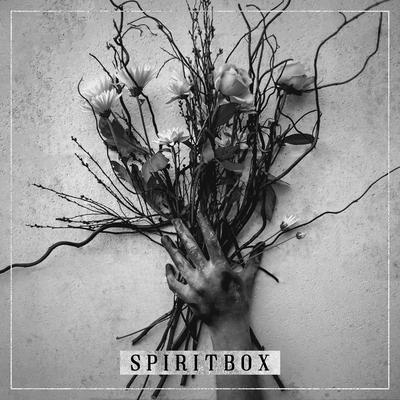 The Beauty of Suffering By Spiritbox's cover
