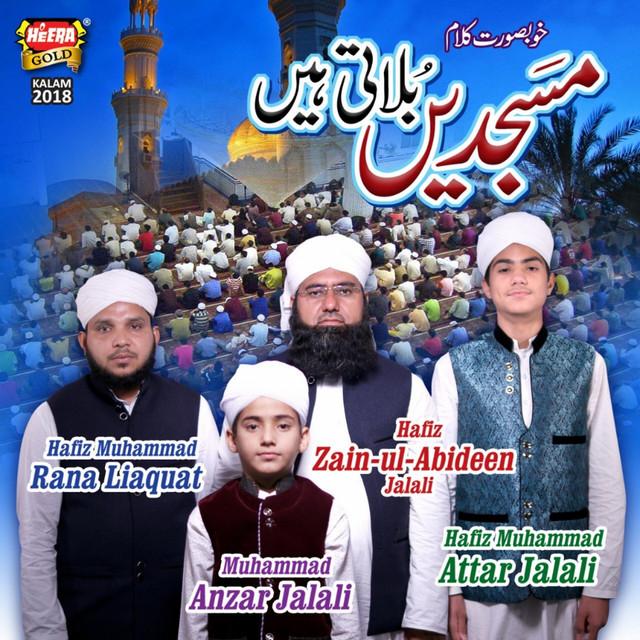 Hafiz Zain Ul Abideen's avatar image