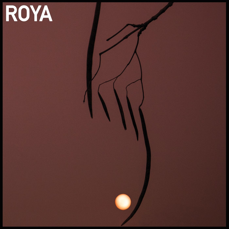 Roya's avatar image