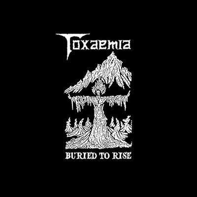 Kaleidoscopic Lunacy ((Remastered By Dan Swano)) By Toxaemia's cover