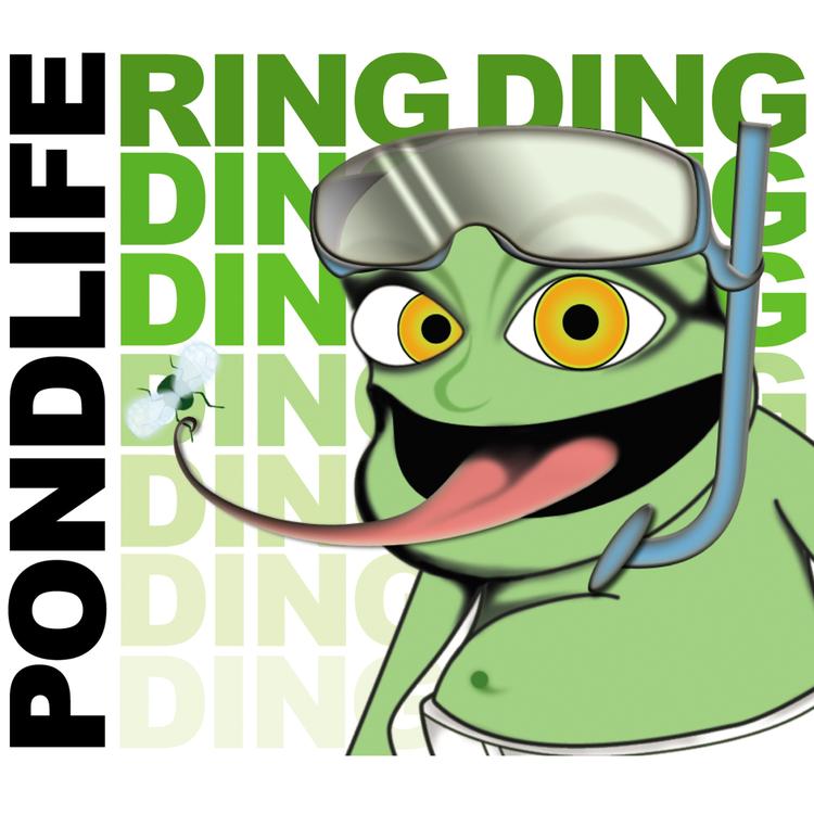 Froggy Frogspawn's avatar image