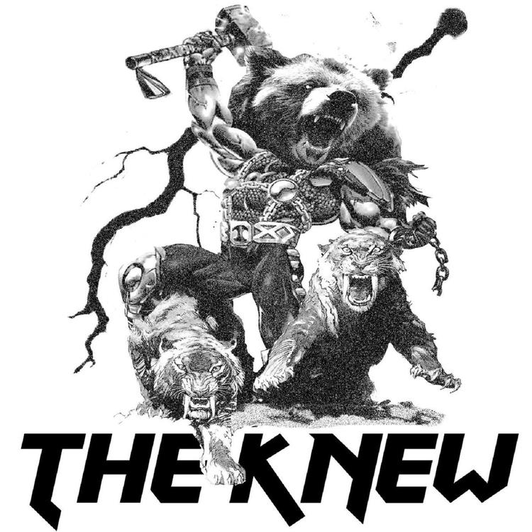 The Knew's avatar image