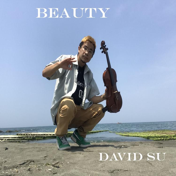 David Su's avatar image