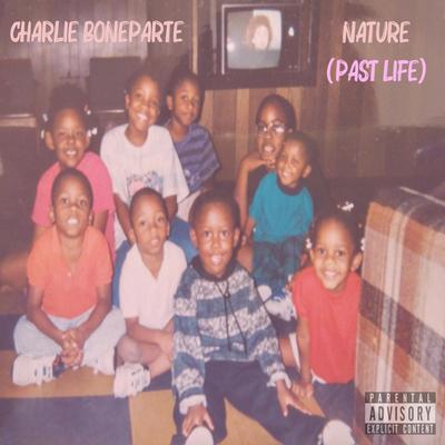 Nature (Past Life)'s cover