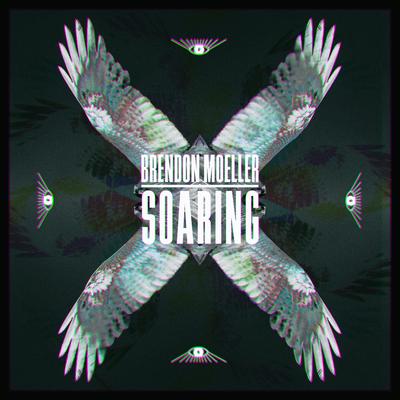 Soaring By Brendon Moeller's cover