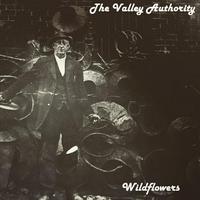 The Valley Authority's avatar cover