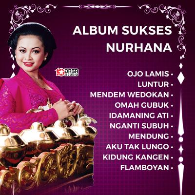 Sukses Nurhana - Ojo Lamis's cover