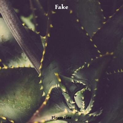 Fake's cover