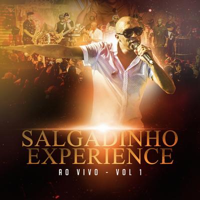 Salgadinho Experience Ao Vivo - Vol 1's cover