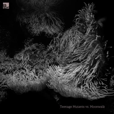Meteora By Moonwalk's cover