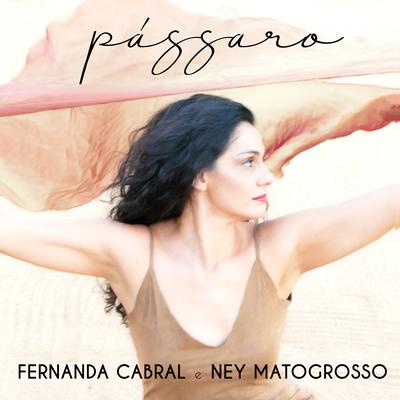Pássaro By Ney Matogrosso, Fernanda Cabral's cover
