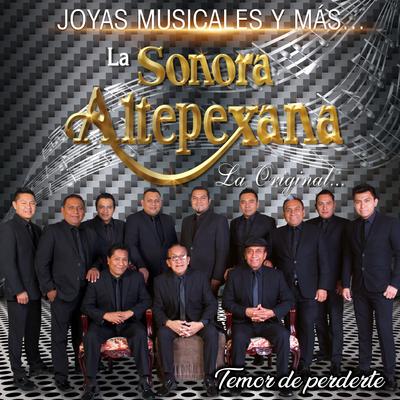 Temor de Perderte (Joyas Musicales y Más)'s cover