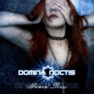 Because The Night By Domina Noctis's cover