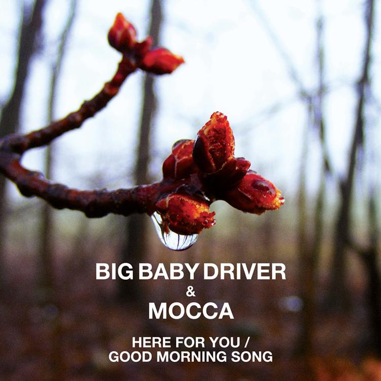 빅베이비드라이버 Big Baby Driver & 모카 Mocca's avatar image