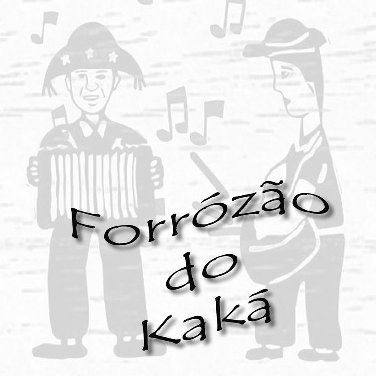 Forrózão do Kaká's avatar image