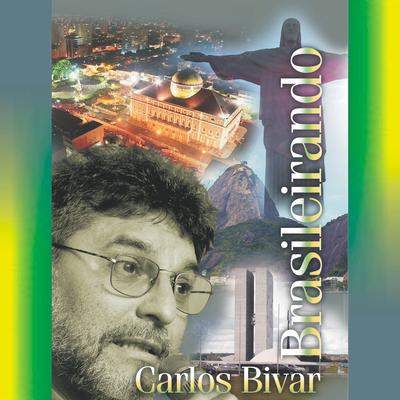 Declaração de Bens a Brasília's cover