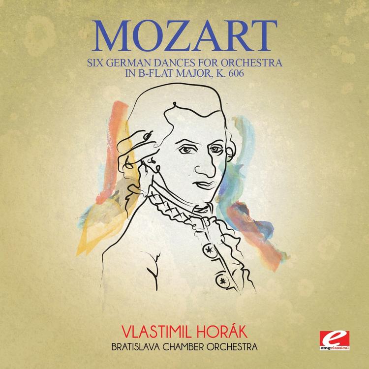 Bratislava Chamber Orchestra's avatar image