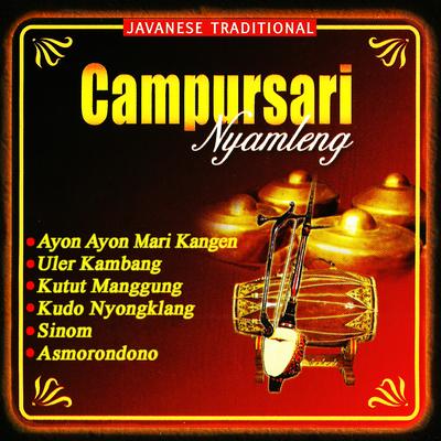 Campursari Nyamleng (Javanese Traditional Music)'s cover