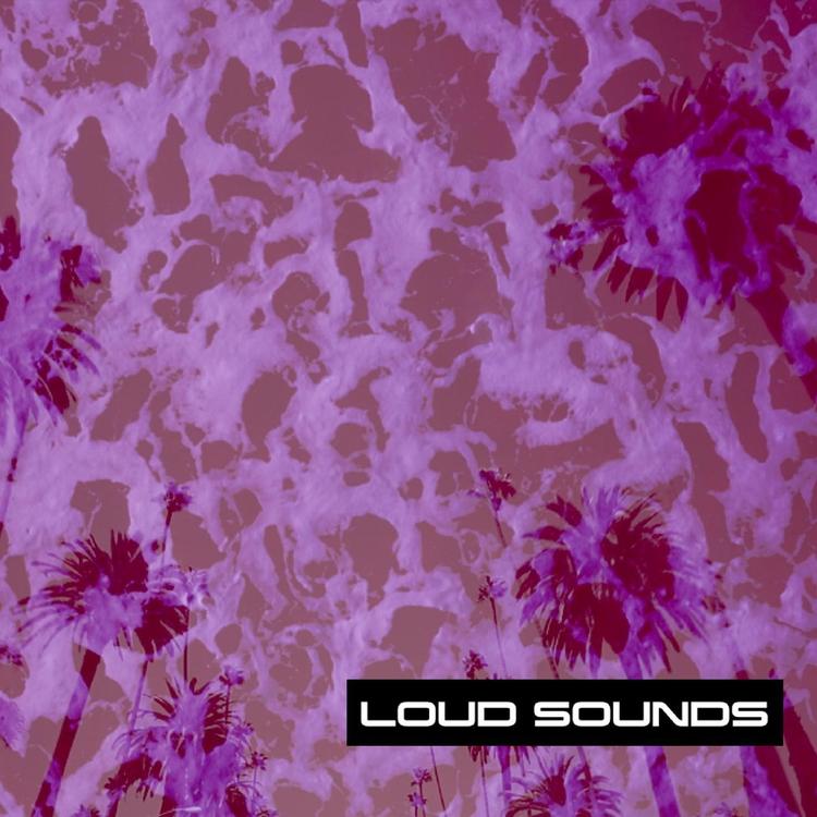 Loud Sounds's avatar image