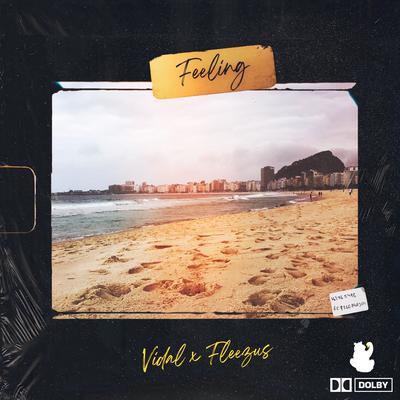 Feeling By Vidal, Fleezus's cover