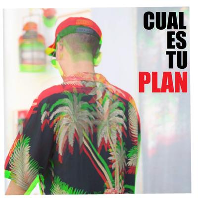 ¿Cuál es tu plan?'s cover